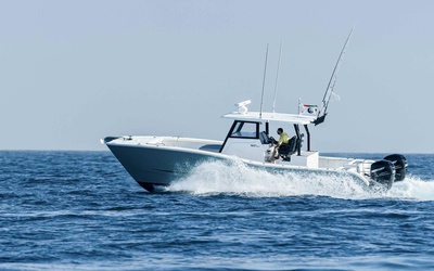 SilverCat 34CC
