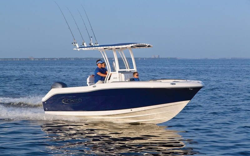 Robalo R200