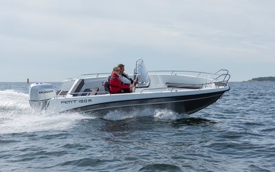 AMT 190 RF