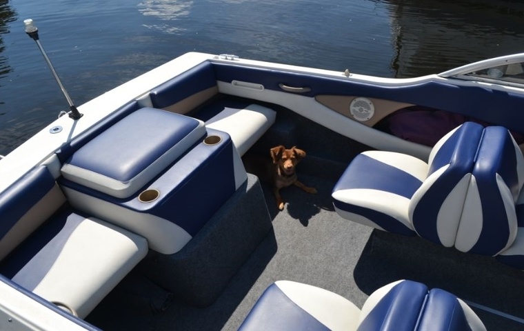 Bayliner 195 Bowrider (2005)