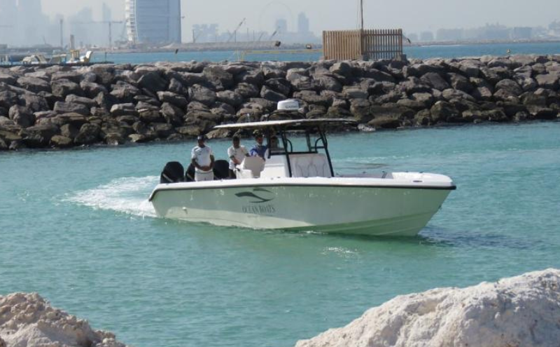 Ocean Boats 39S