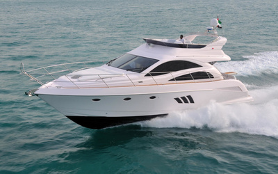 Integrity 55