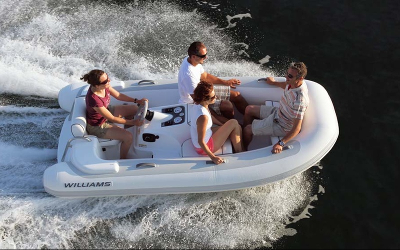 Williams Turbojet 325
