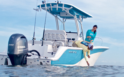 Sea Fox 228 Commander