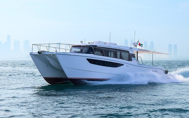SilverCat 46LUX