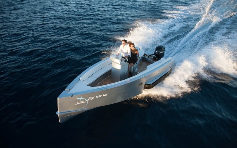 Iguana 24