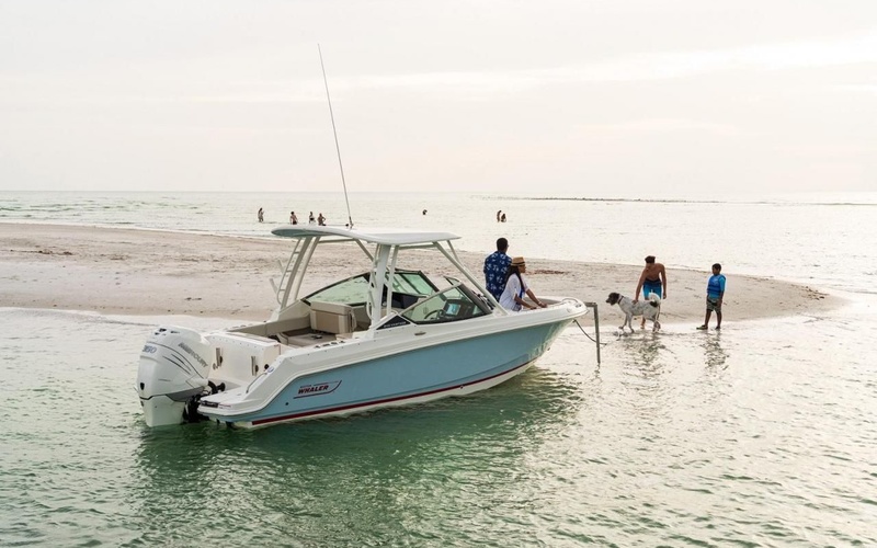 Boston Whaler 240 Vantage