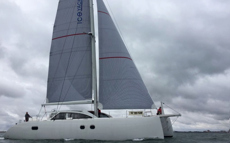 Ice Cat 61
