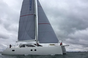 Ice Cat 61