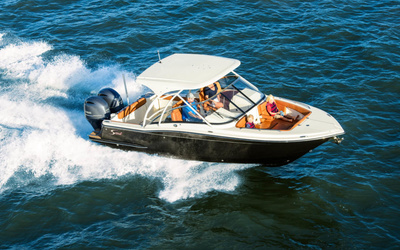 Scout 255 Dorado