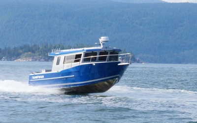 KingFisher 3125 GFX