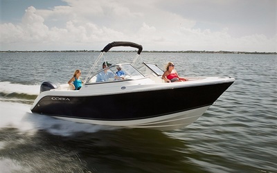 Cobia 220 DC