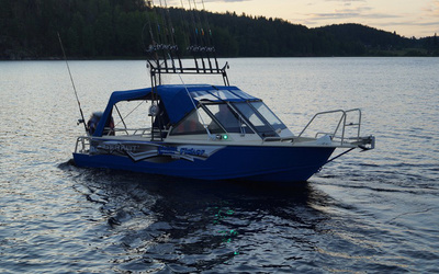 Berkut L-Fisher