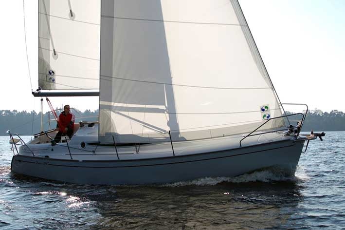 Delphia 29.2