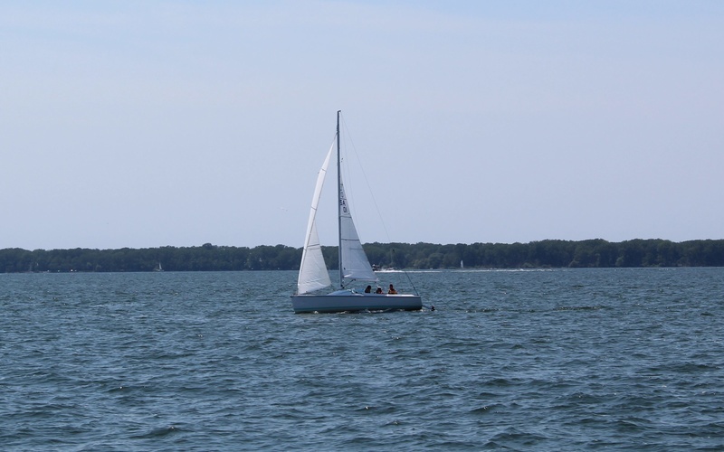 Tartan 245