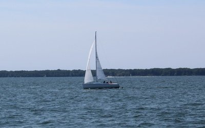 Tartan 245