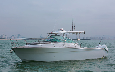Sedna XF 320