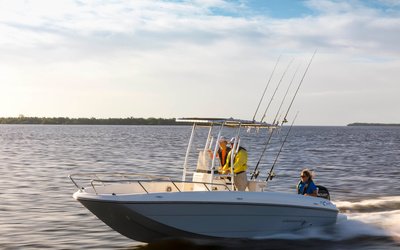 Bayliner T21Bay
