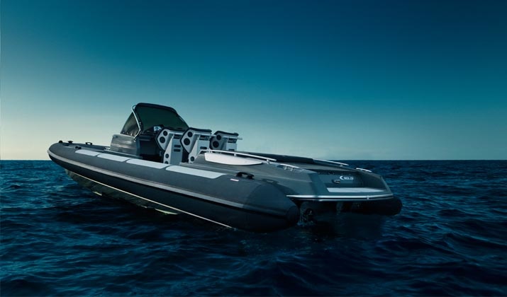 Goldfish 29 RIB Tender 