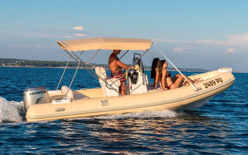 Tiger Marine ProLine 550
