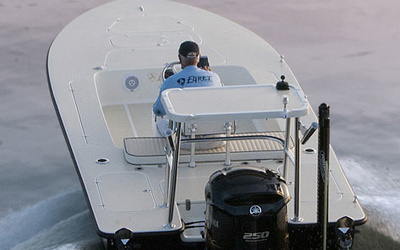 Egret 2011