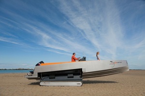 Iguana 29