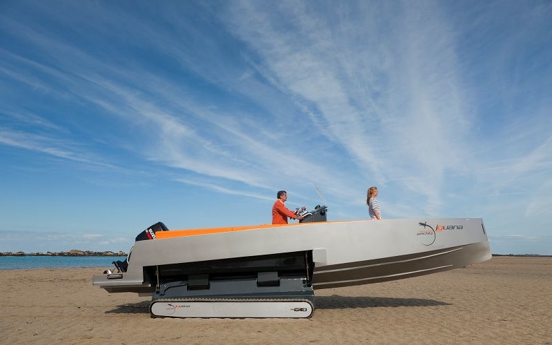 Iguana 29