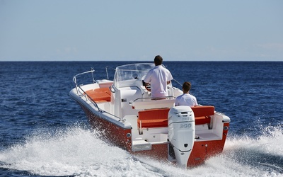 White Shark 246CC