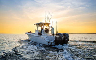 TideWater 292 CC Adventure