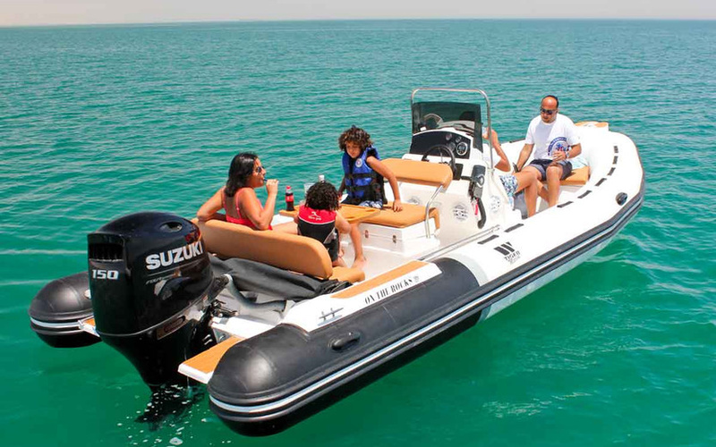 Tiger Marine Open 650