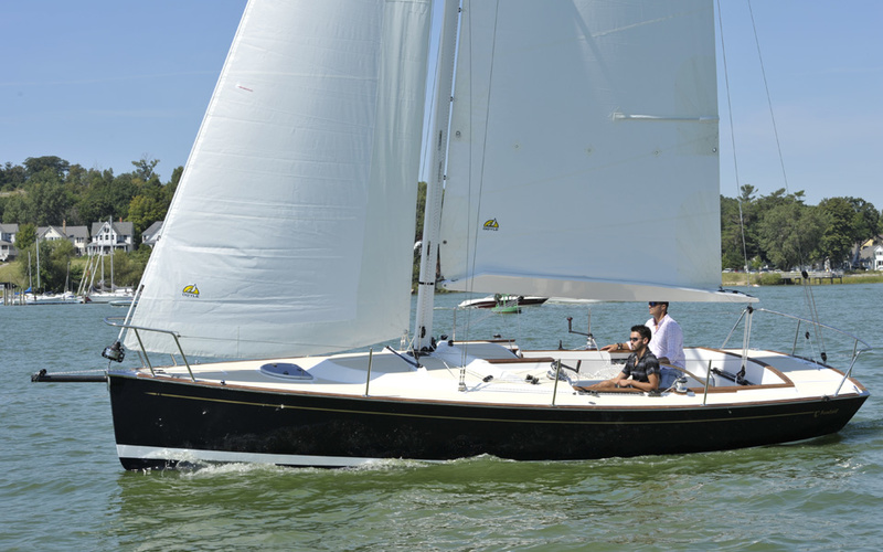 Tartan Fantail