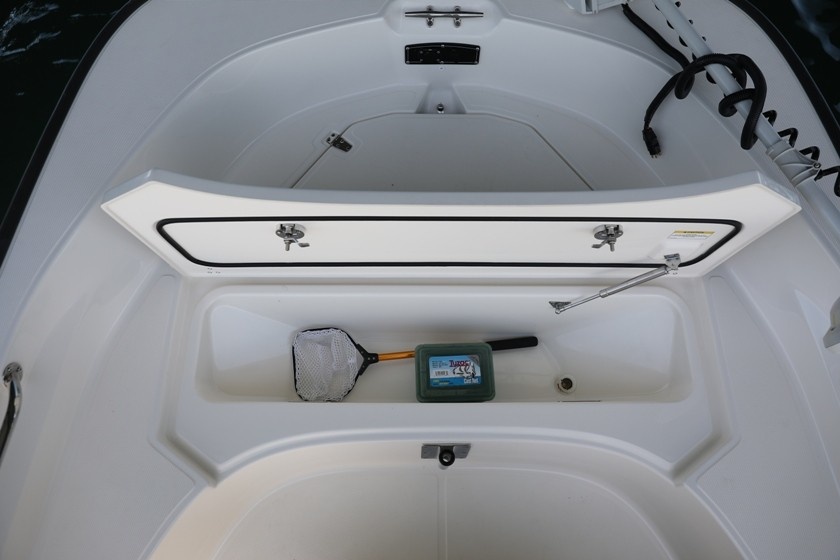 Boston Whaler 170 Montauk