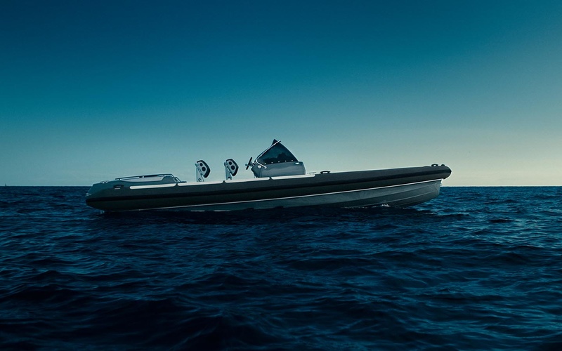 Goldfish 29 RIB Tender 