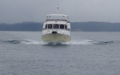 Selene 56