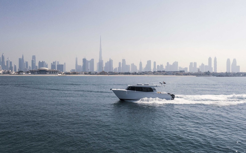 SilverCat 40LUX