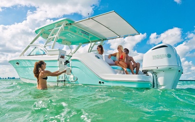 Robalo R317