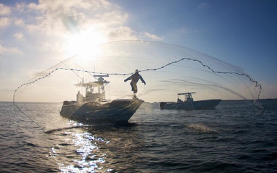 SeaVee 290