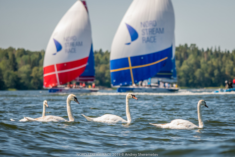  Kongelig Dansk Yacht Club и Kungliga Svenska Sailing Saloon Capet