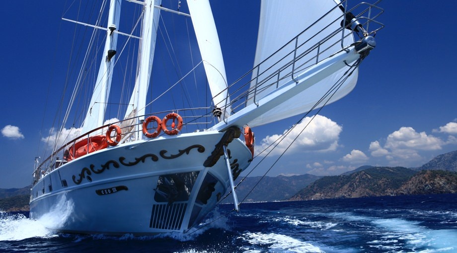 Tuzla Shipyard CEO III