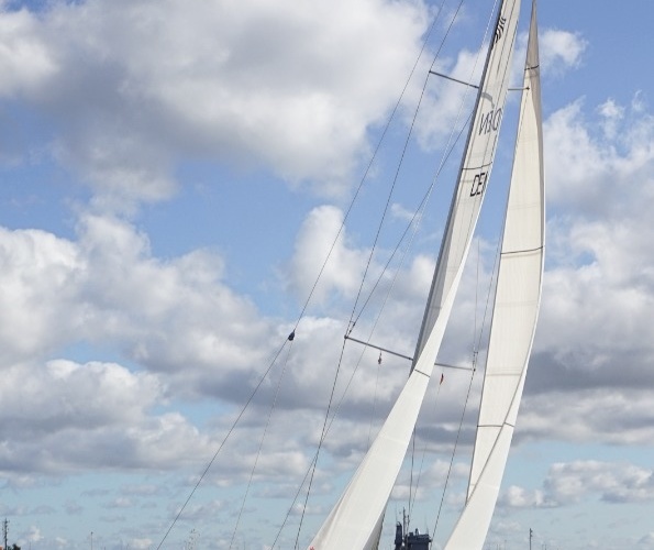 Saare  46