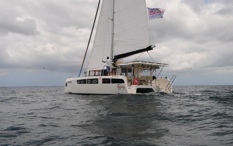 Dolphin 380