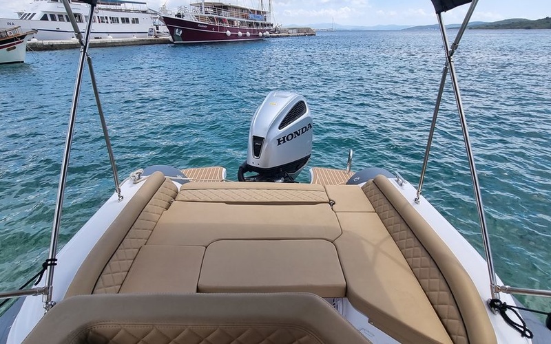 Salpa Soleil 23