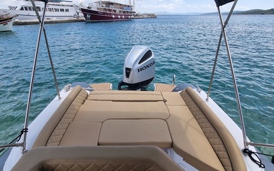 Salpa Soleil 23