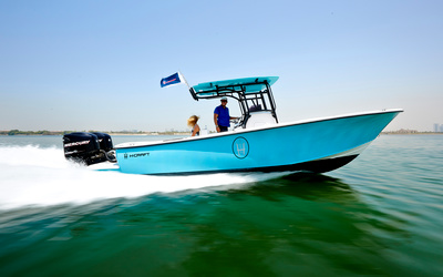 Hayaari H28SF