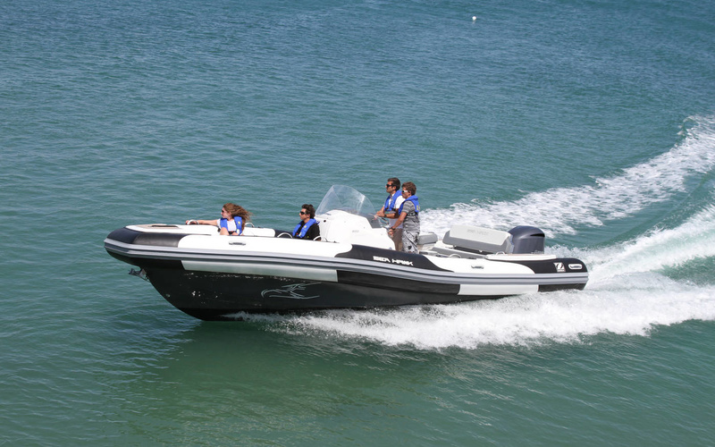 Zodiac Sea Hawk 800