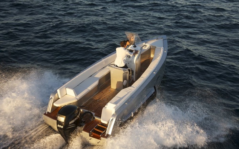 Iguana 24
