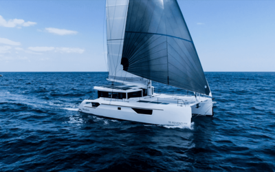 Windelo 50