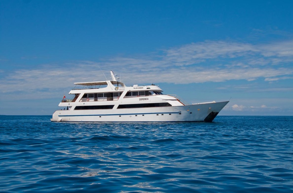 Custom Boats Grand Odyssey