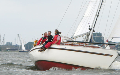 Scalar 31