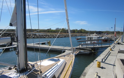 Saare 41ac